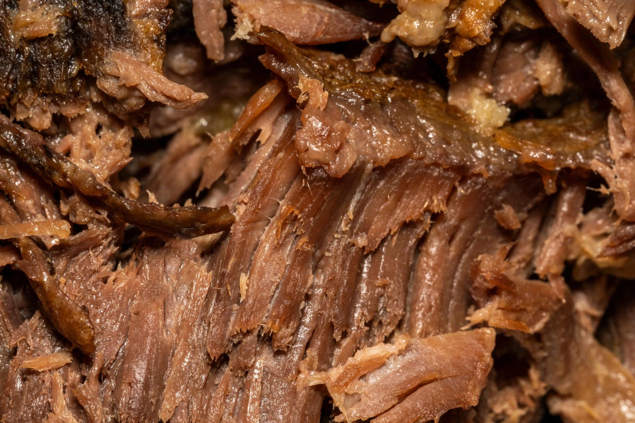 slow cooker shredded beef